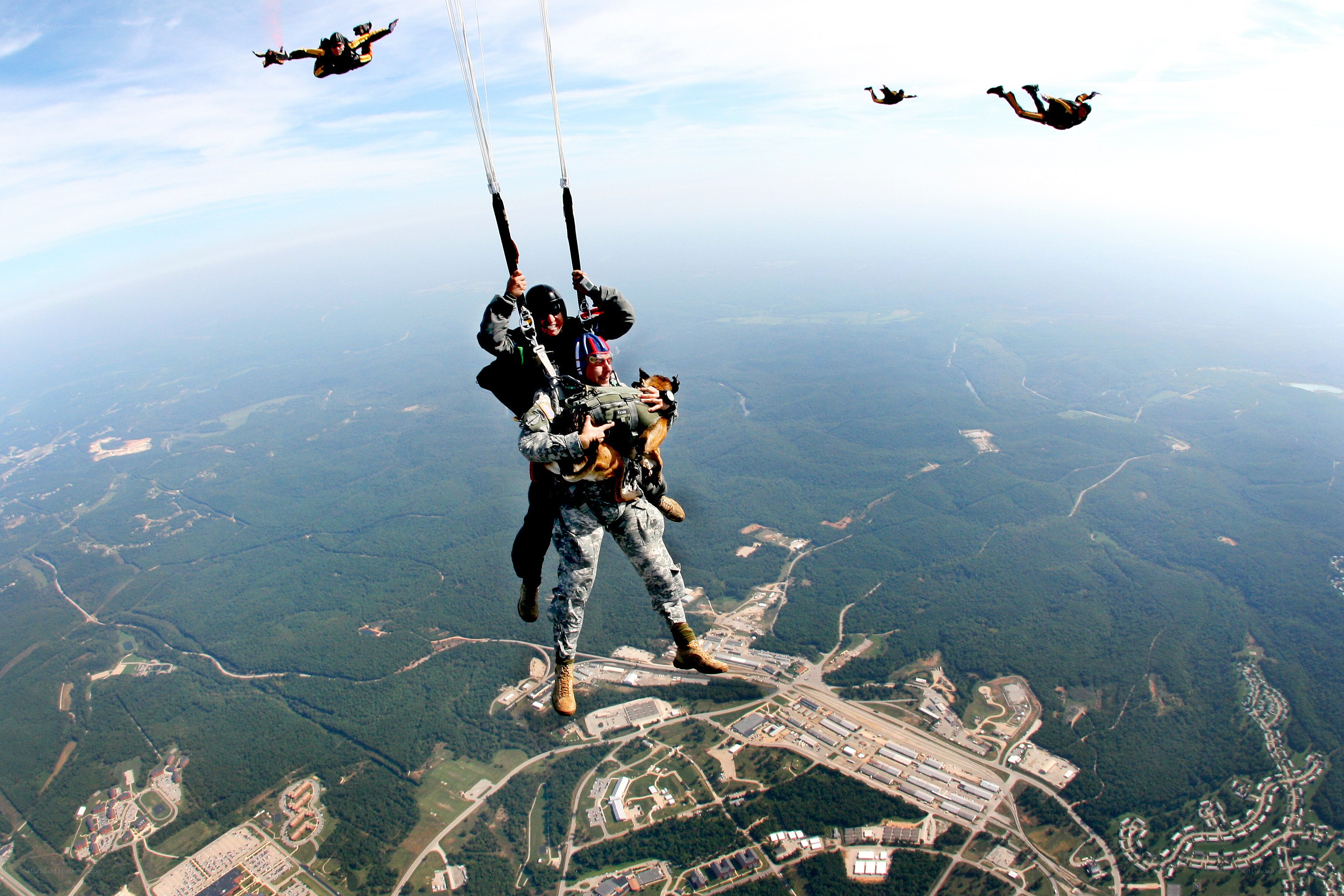 Parachuting with a military dog