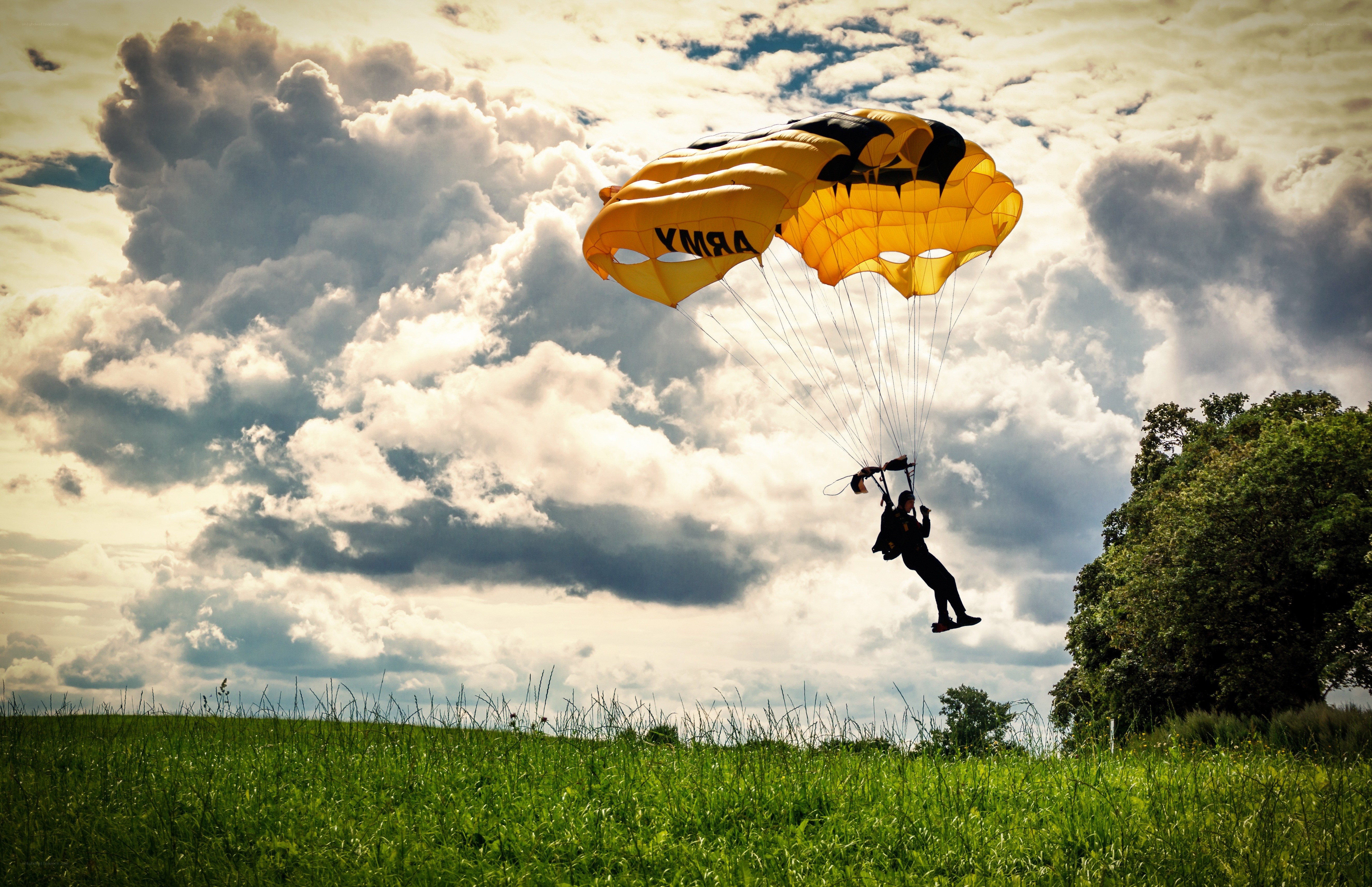 Parachutist descending over field