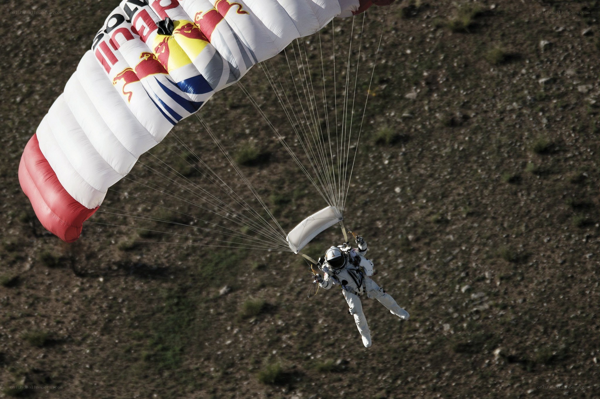 Parachutist with Red Bull canopy