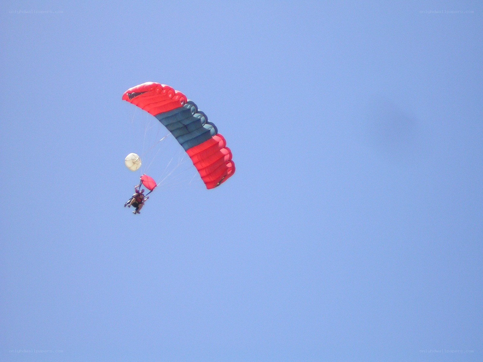 Parachutists in the sky