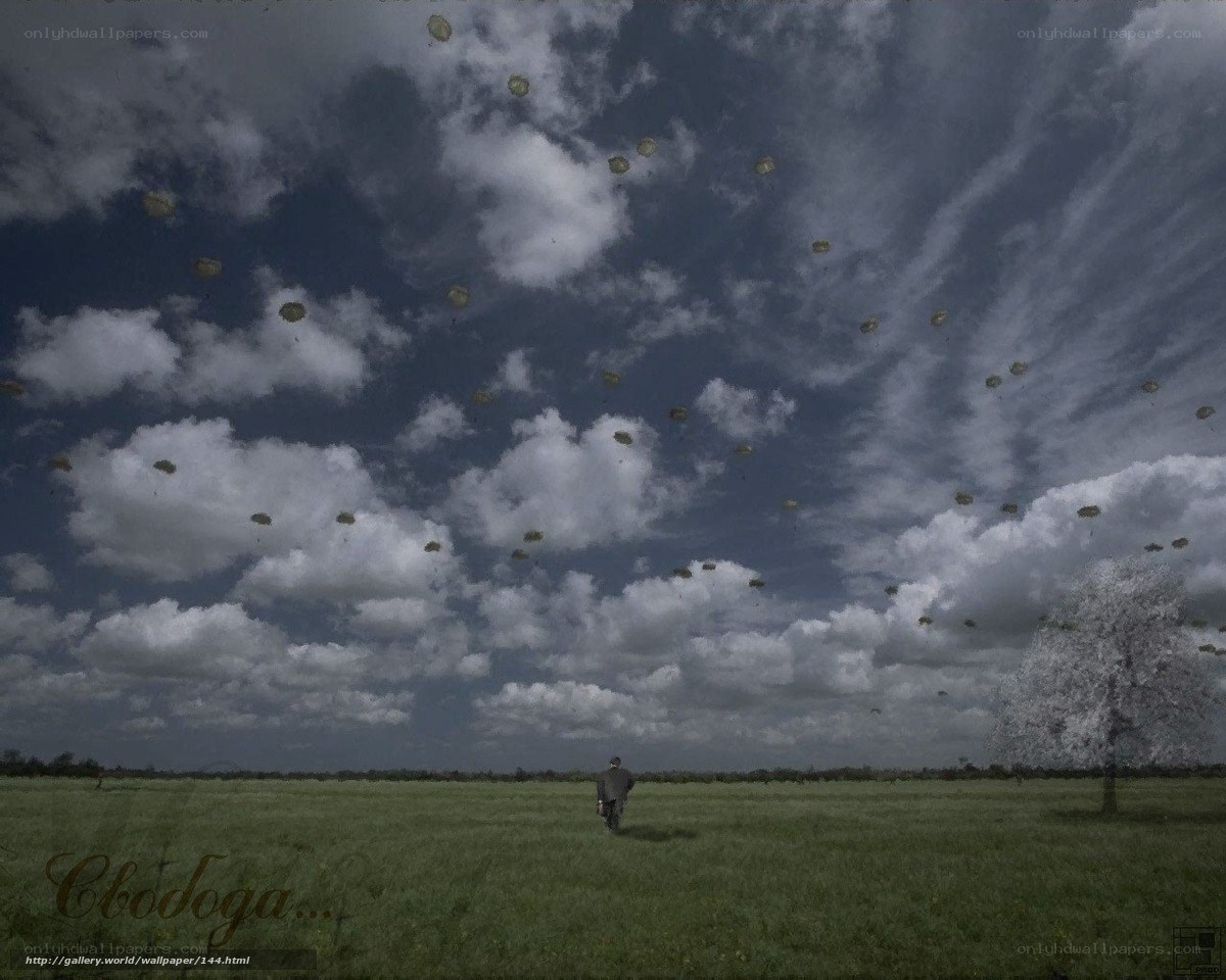 Parachutists over a field