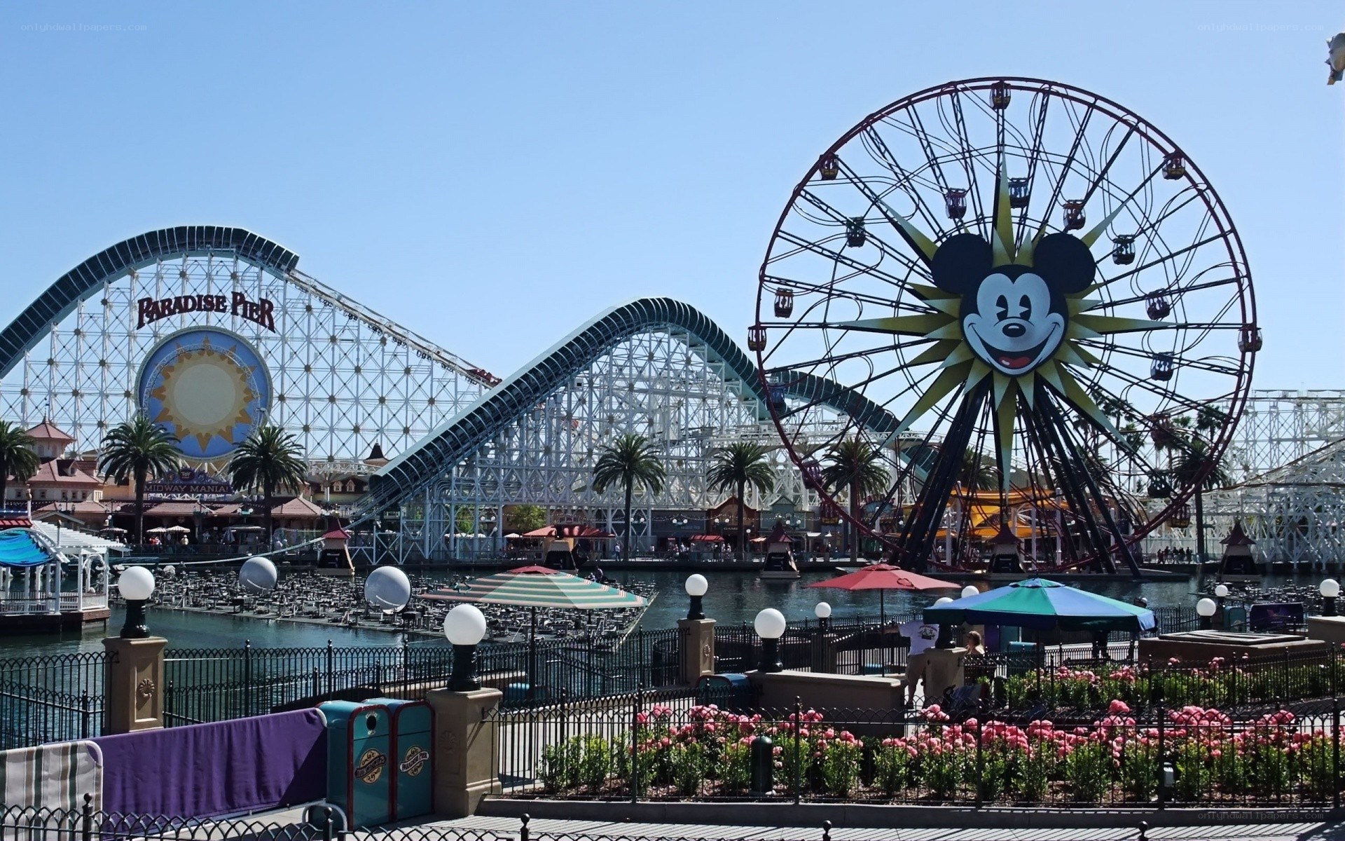 Paradise Pier and Mickey's Fun Wheel