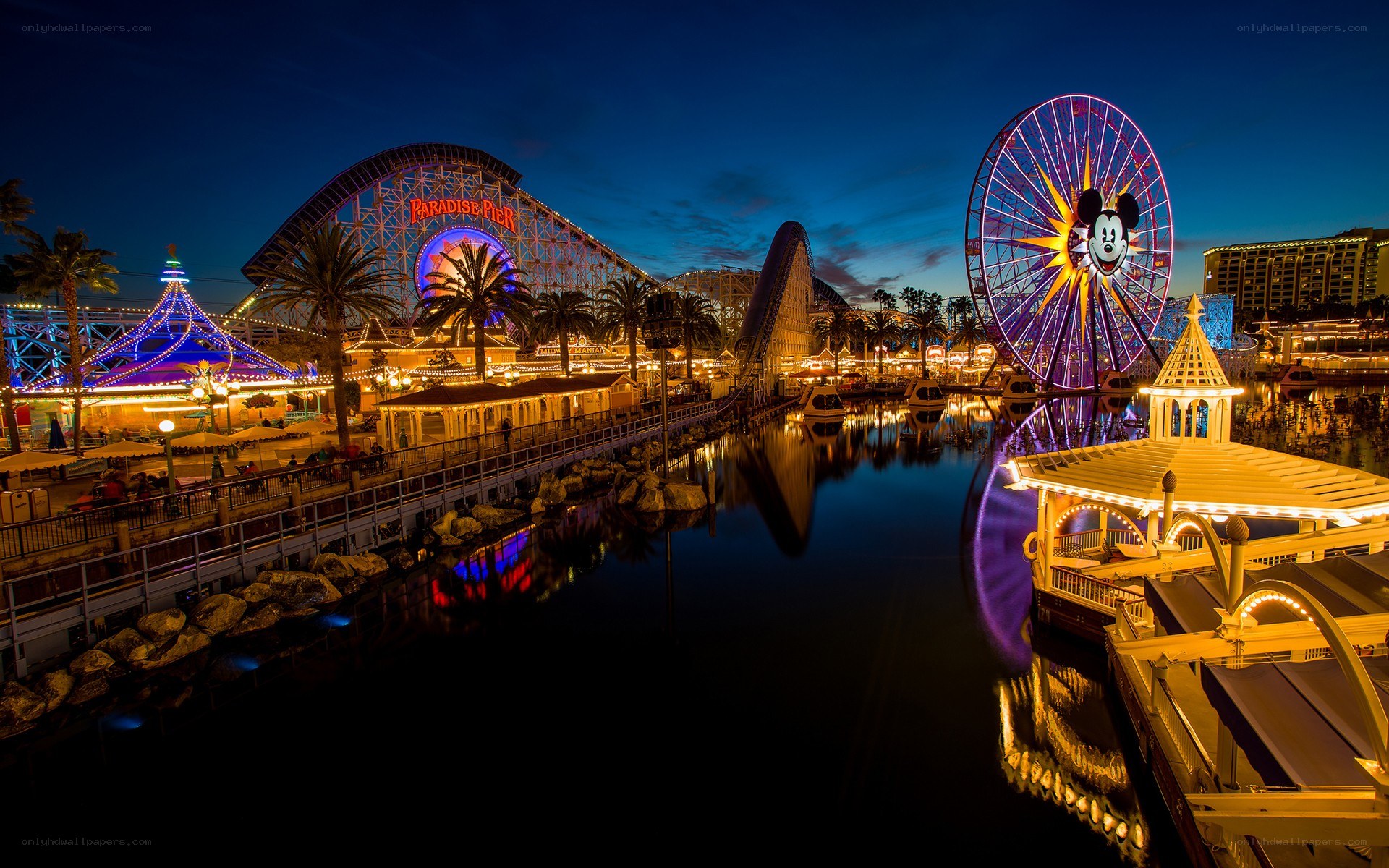 Paradise Pier at night