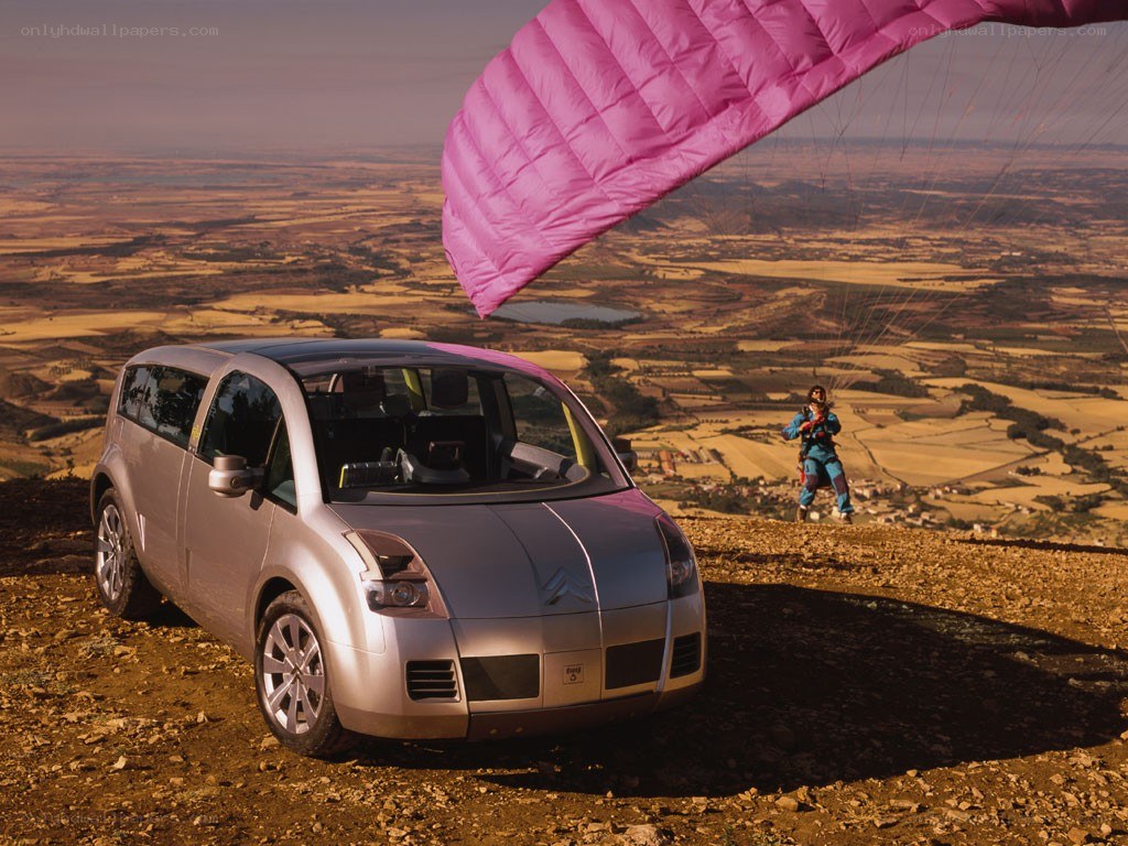 Paraglider and concept car