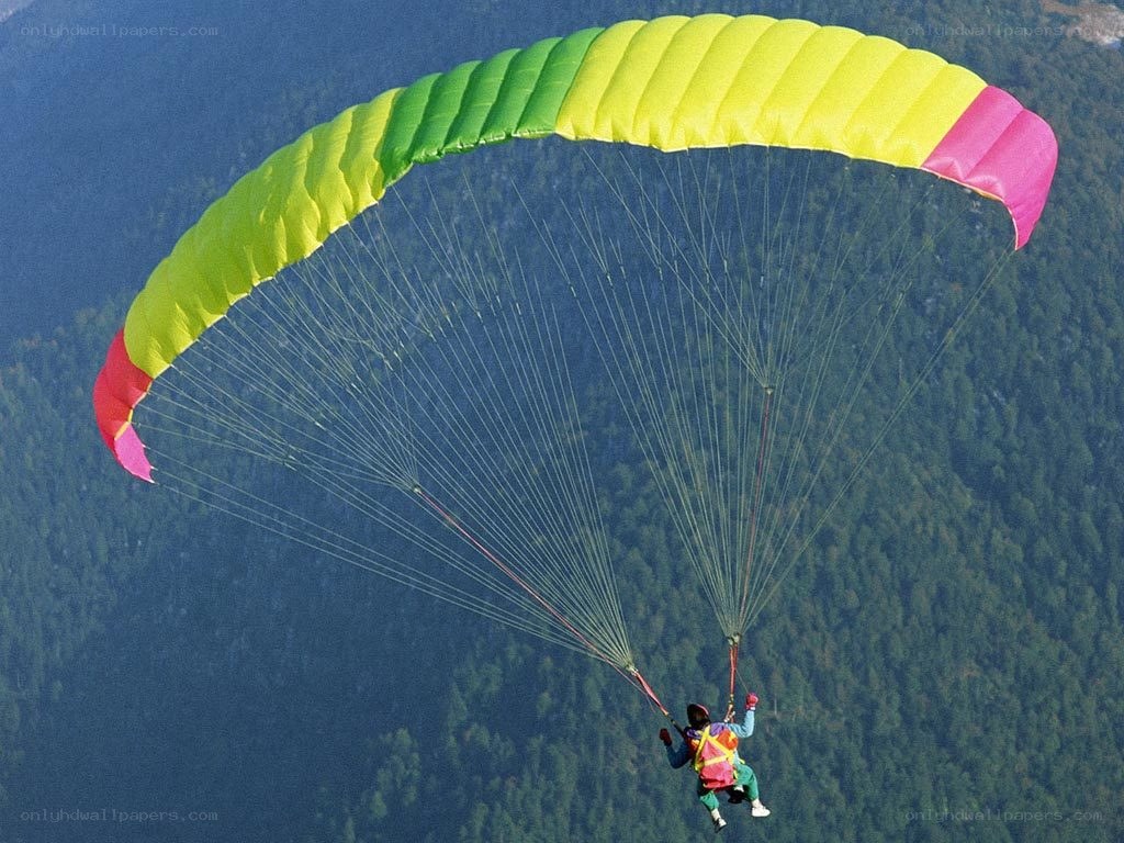 Paraglider soaring over forest