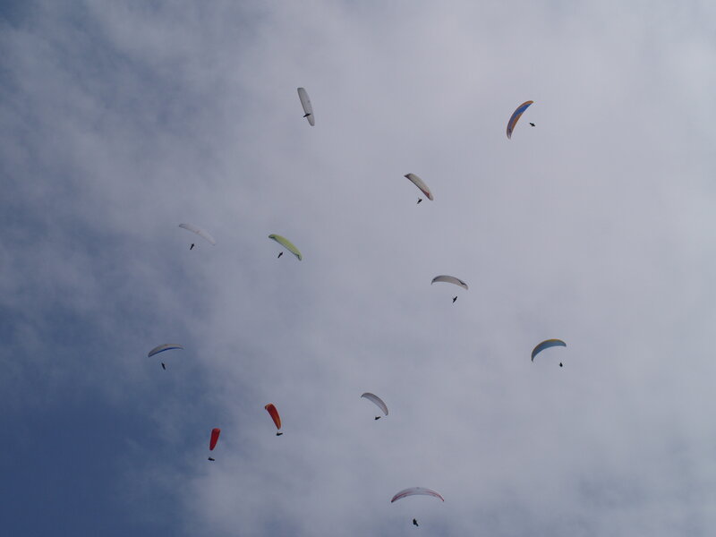 Paragliders in Sky