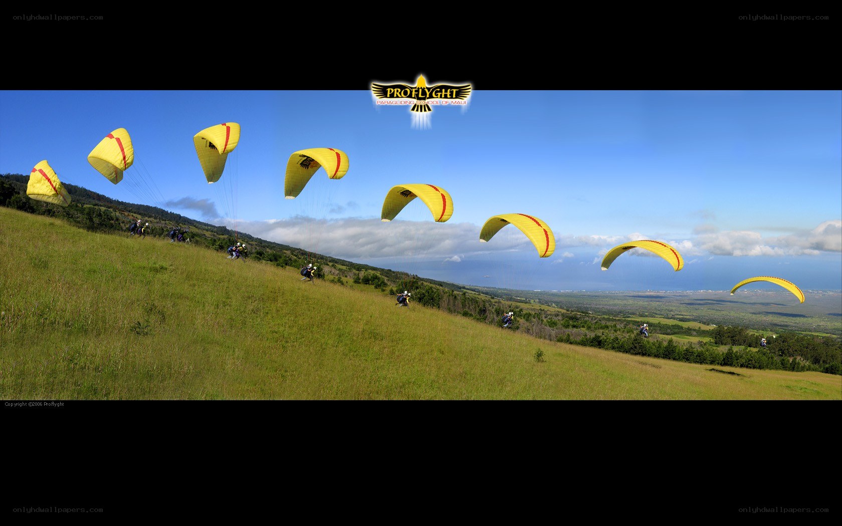 Paragliders on a grassy hill