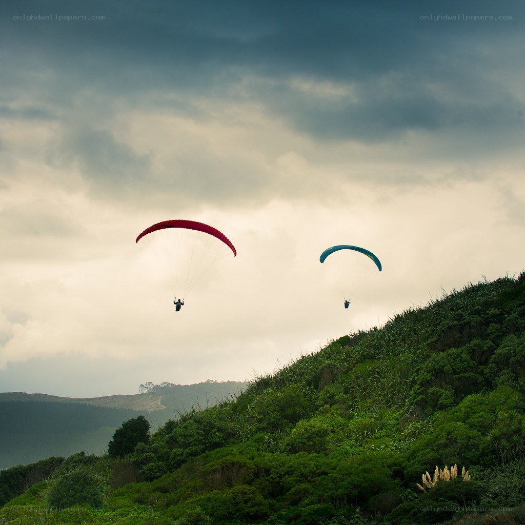 Paragliders over green hills