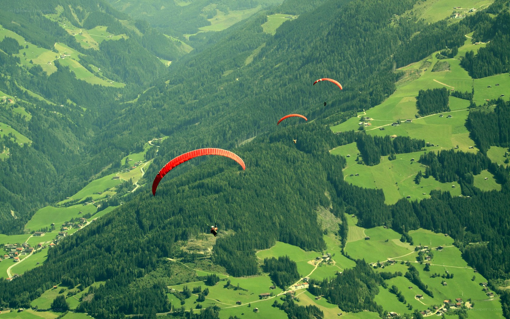 Paragliders over green mountains