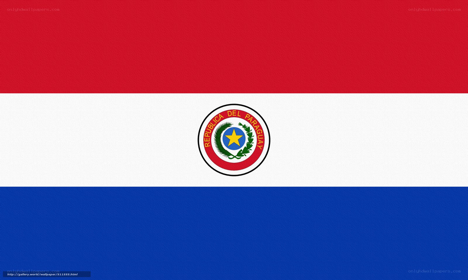 Paraguay flag with emblem