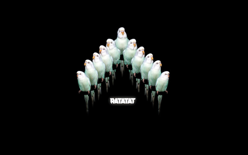 Parakeets in Formation