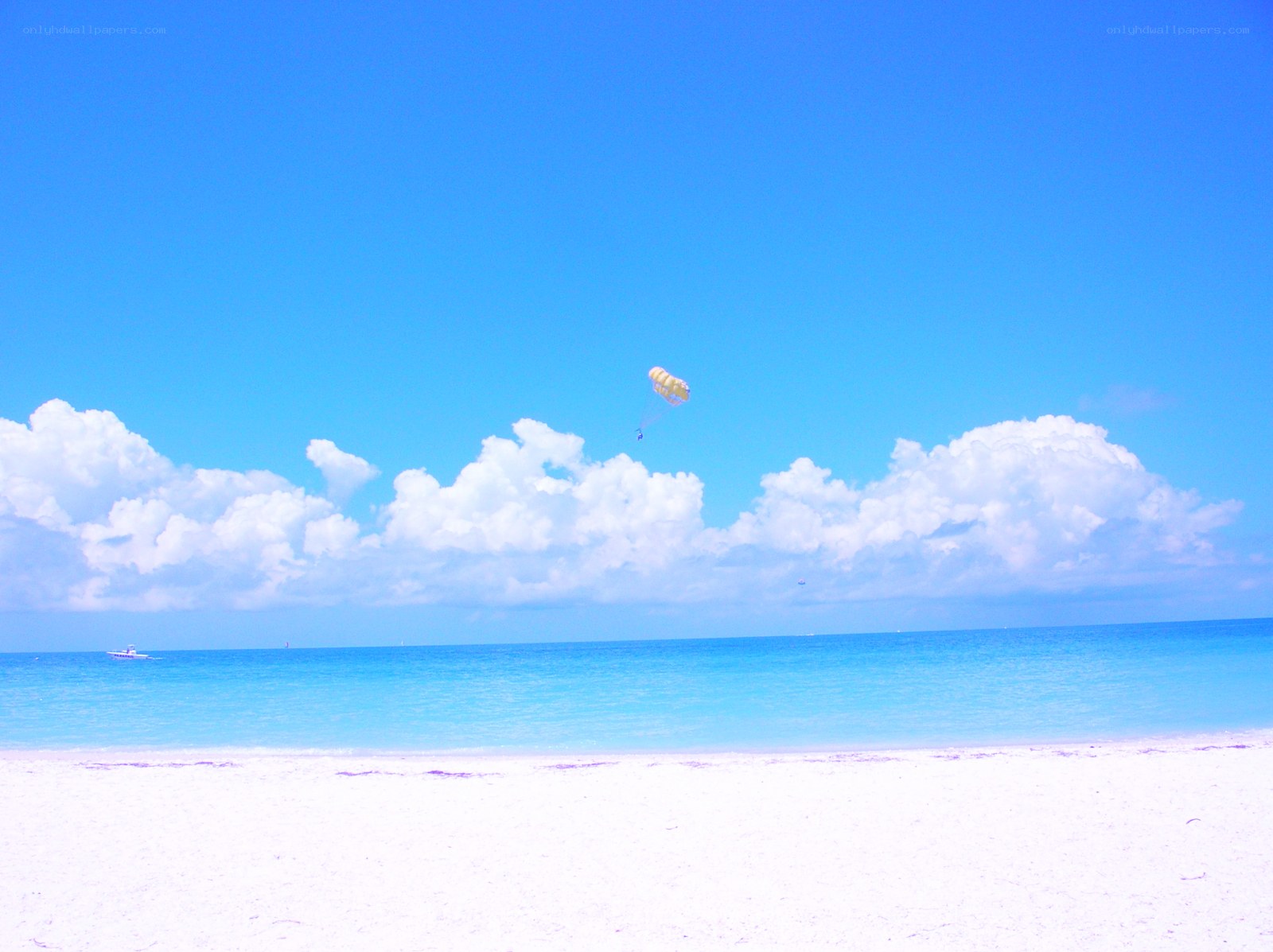 Parasailing over a tropical beach