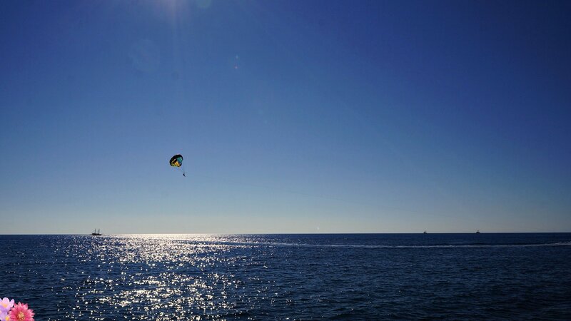 Parasailor over Ocean — Blue