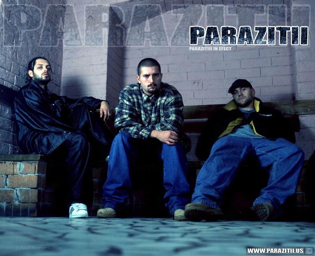 Parazitii band photo