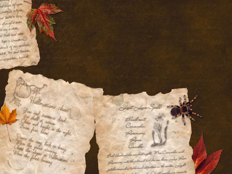 Parchment Papers with Spells