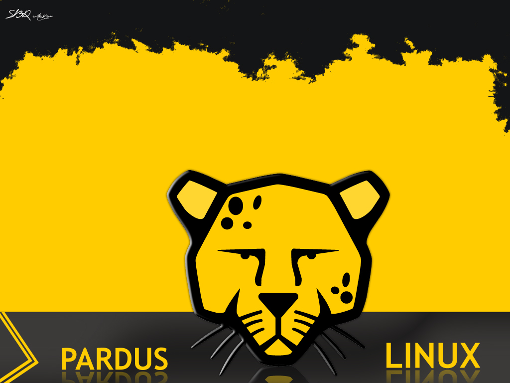 Pardus Linux desktop background