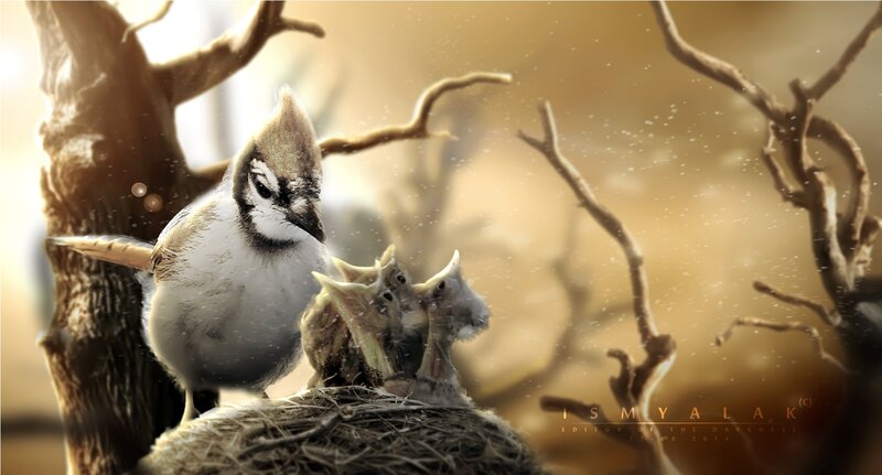 Parent Bird Feeding Chicks — Brown
