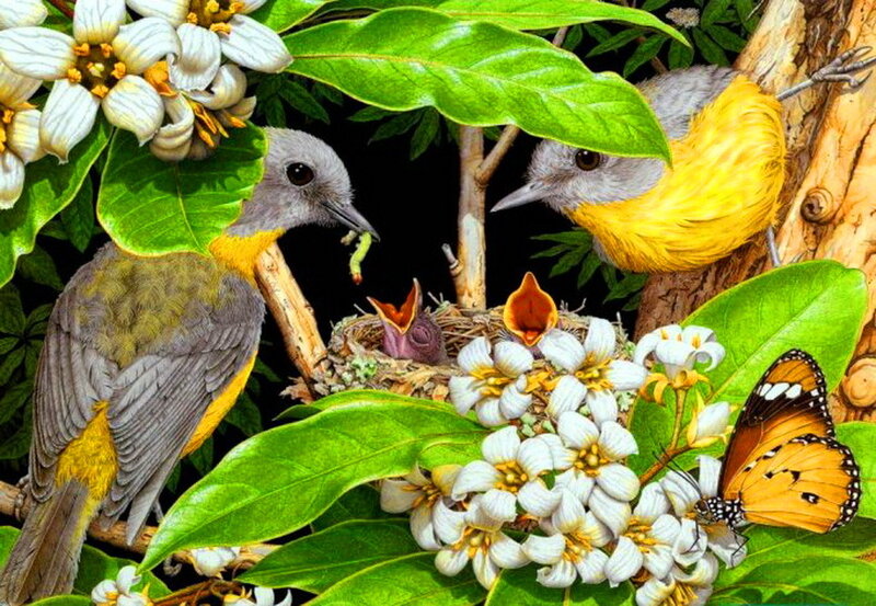 Parent Birds Feeding Chicks — Green, Serene
