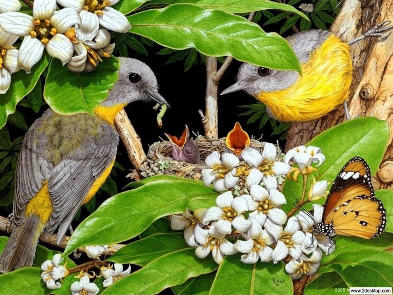 Parent Birds Feeding Chicks — Green