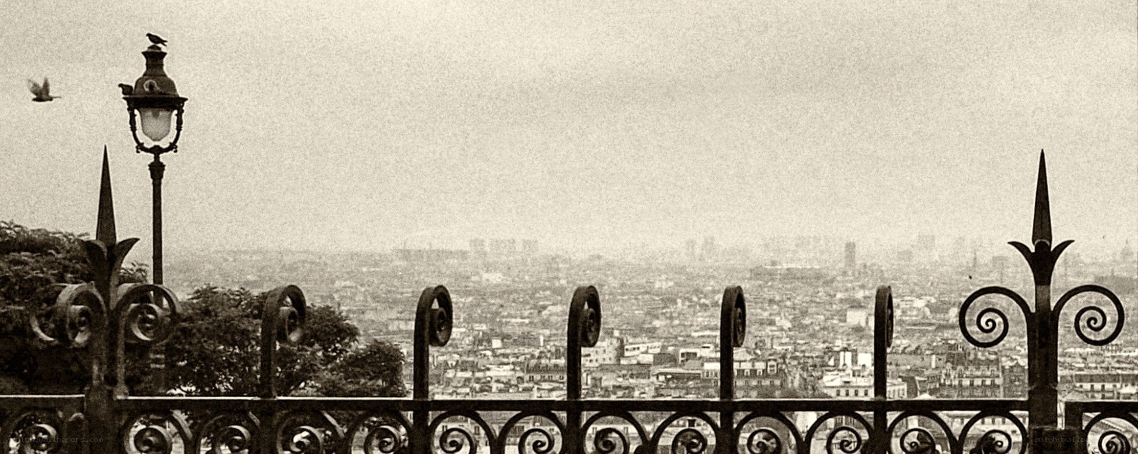 Paris cityscape from Montmartre