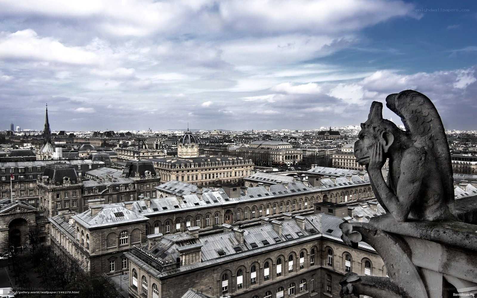 Paris cityscape from Notre-Dame