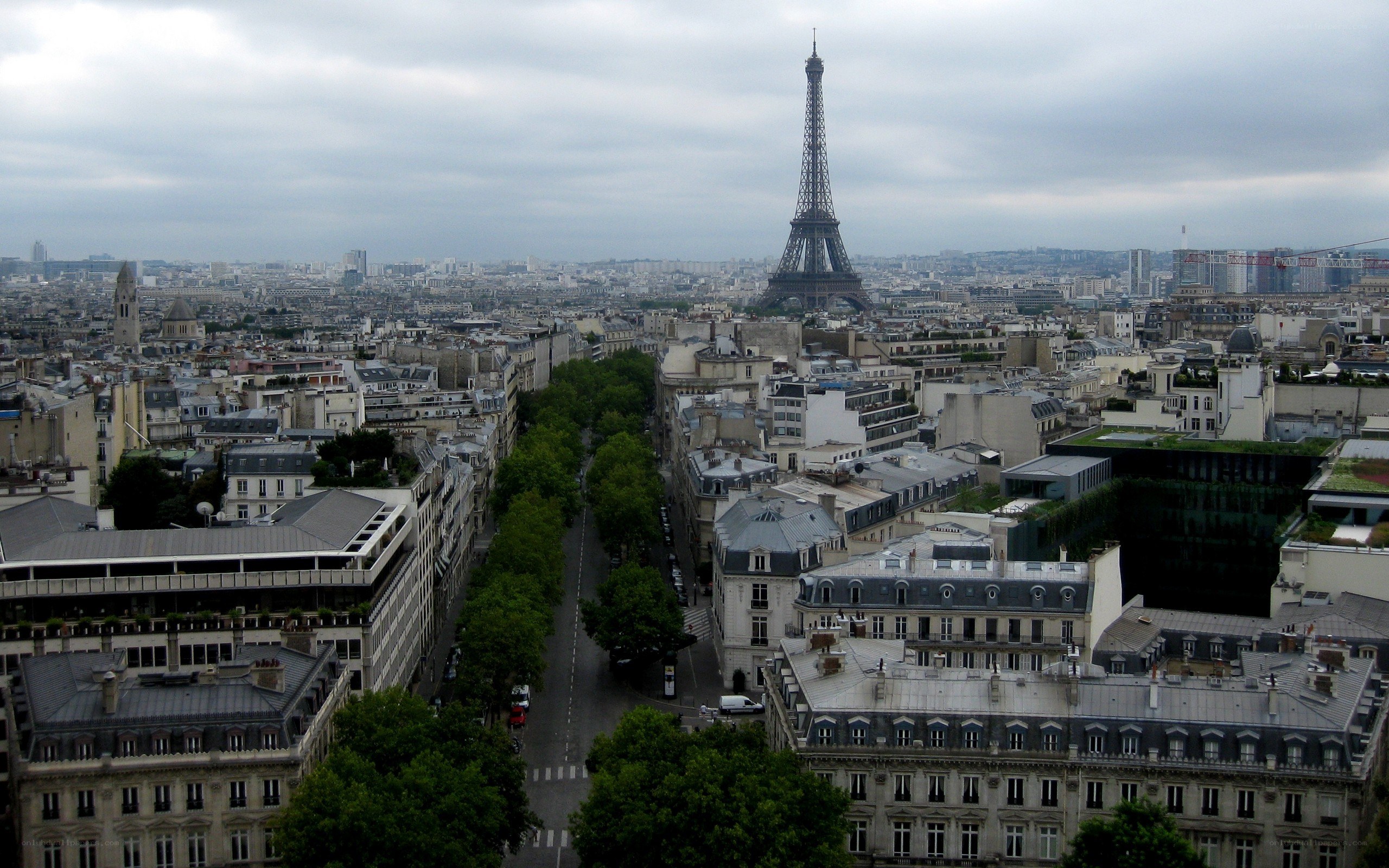 Paris cityscape with Eiffel Tower
