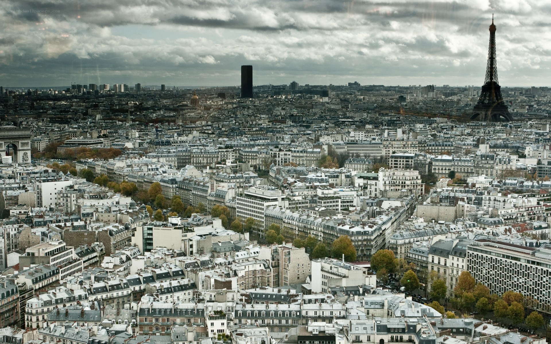 Paris cityscape with Eiffel Tower