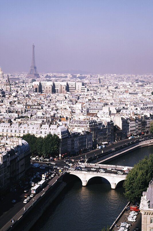 Paris cityscape with Eiffel Tower