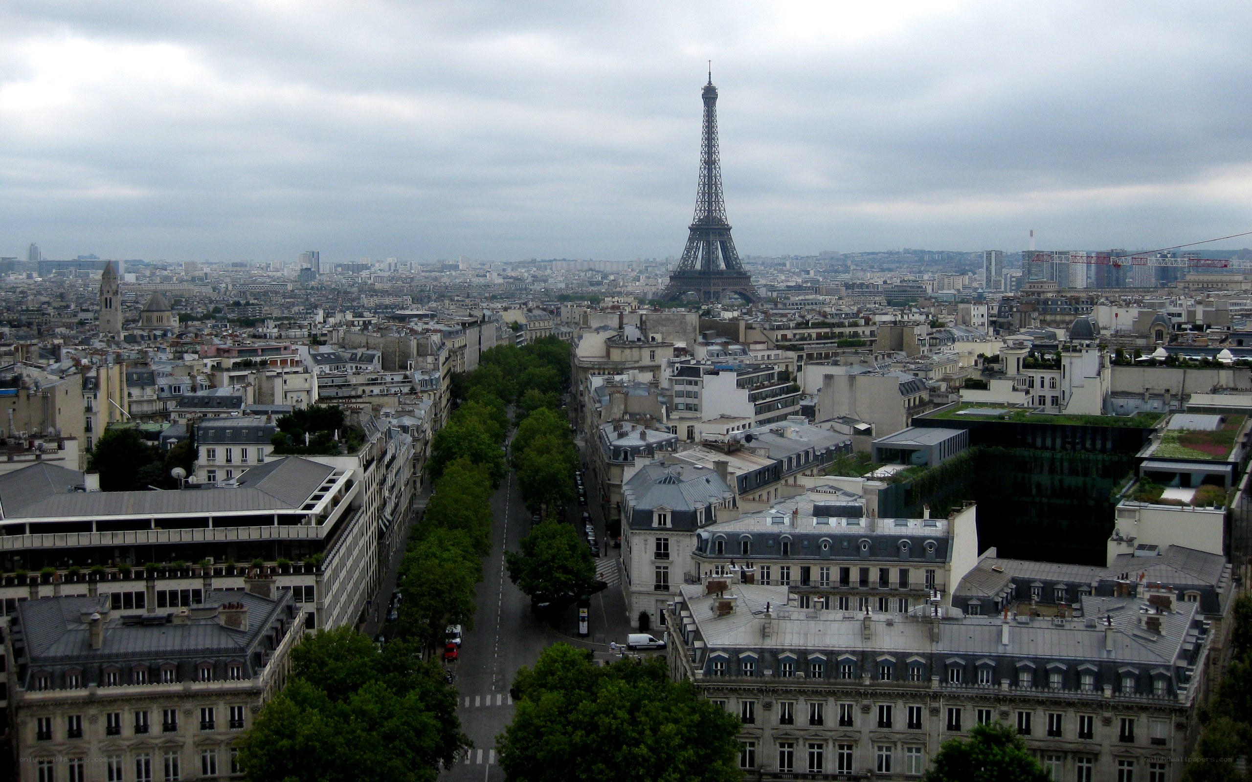 Paris cityscape with Eiffel Tower