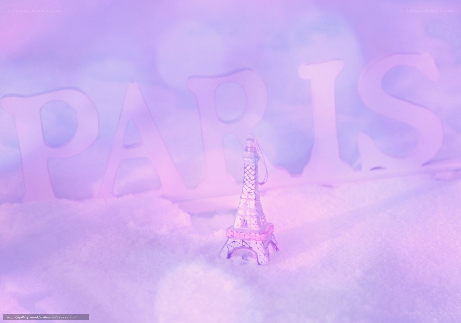 Paris in a winter wonderland