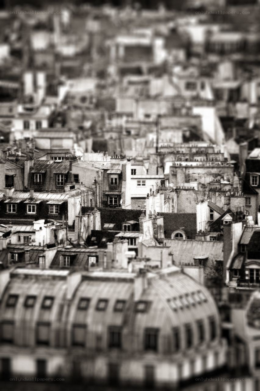 Paris rooftops in black and white