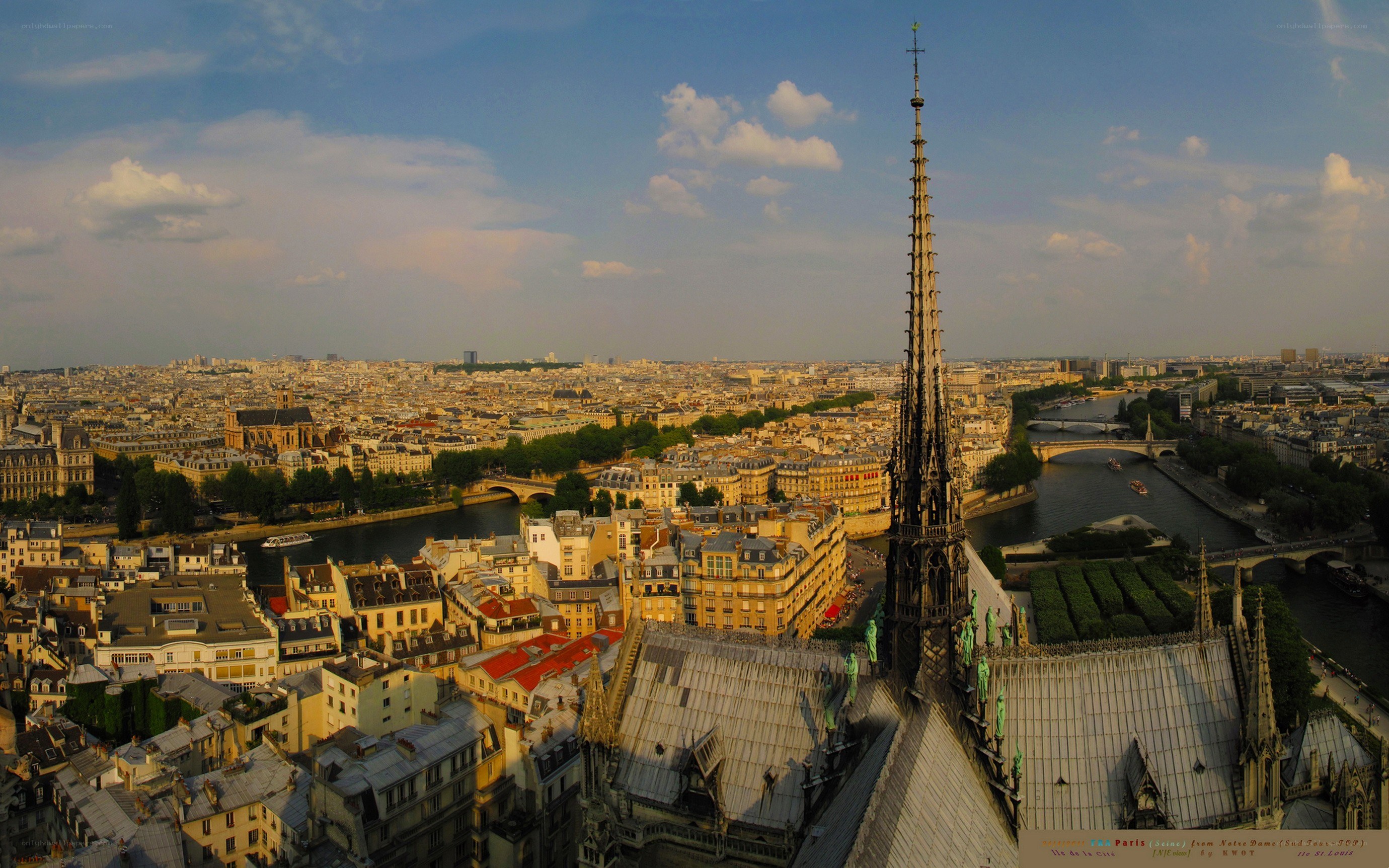 Paris skyline from Notre-Dame