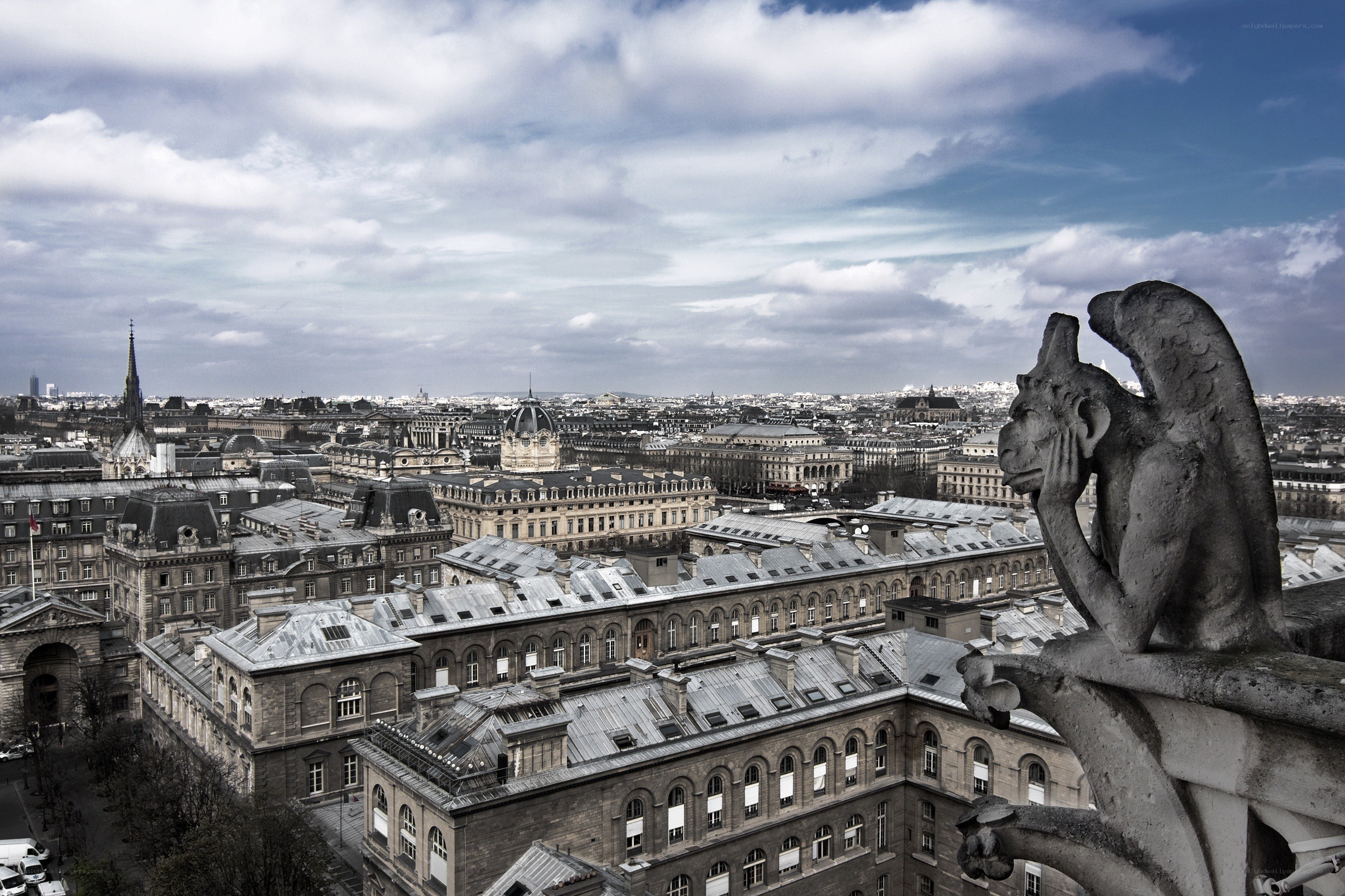 Paris skyline from Notre-Dame