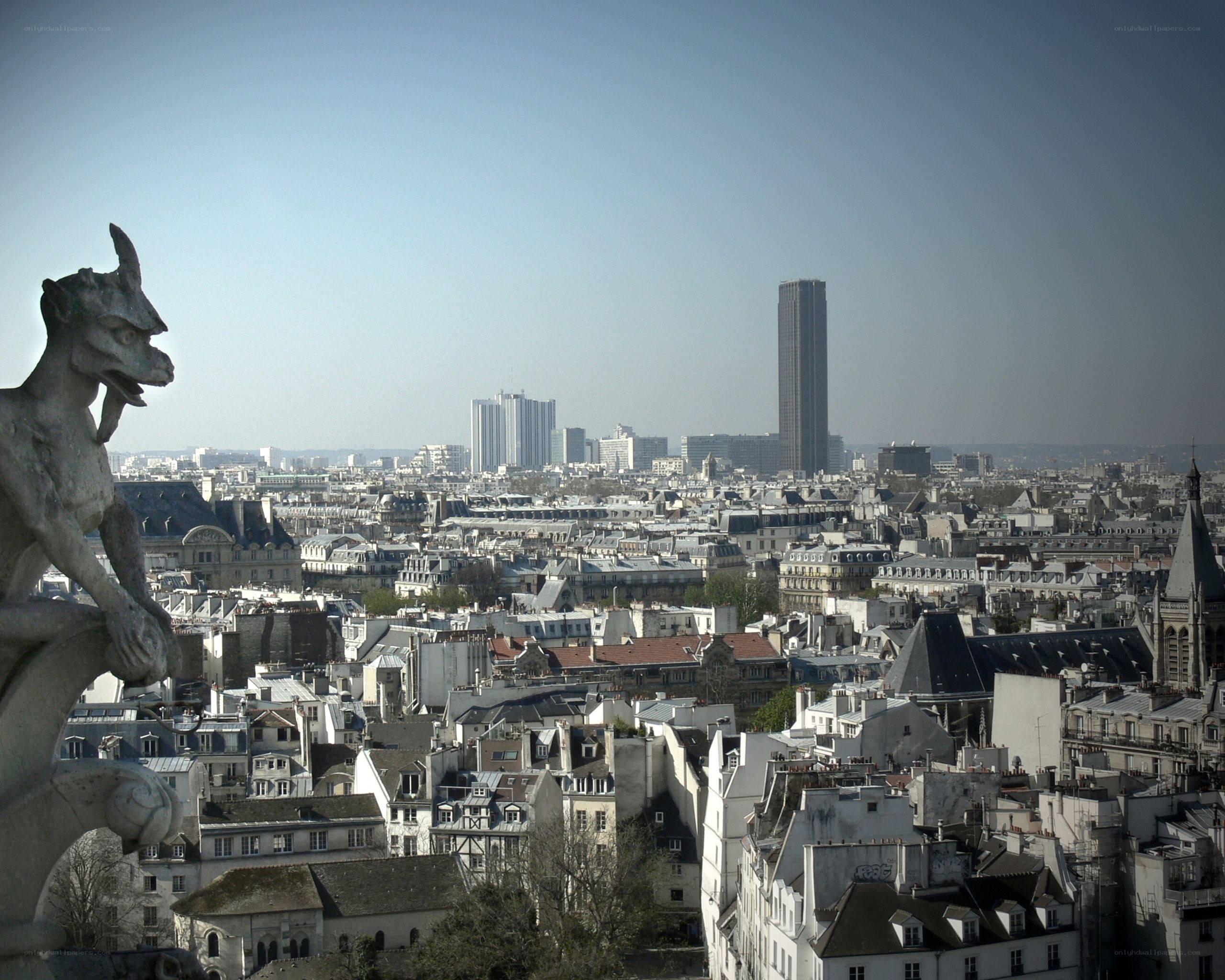 Paris skyline with gargoyle