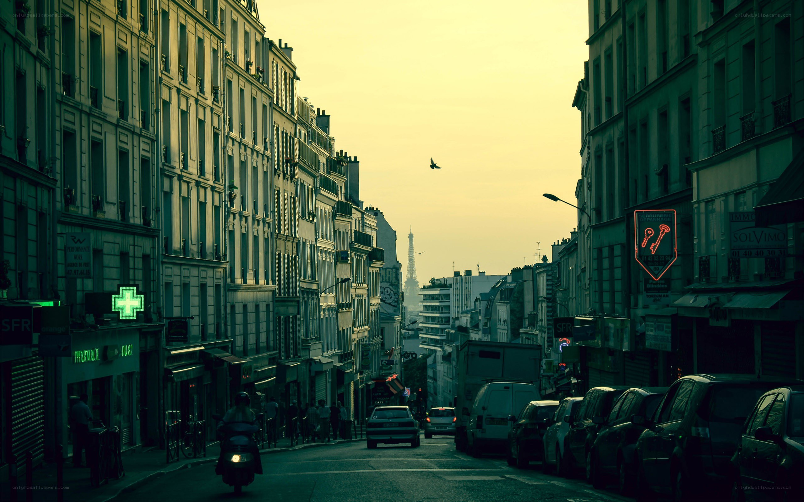 Paris street with Eiffel Tower view