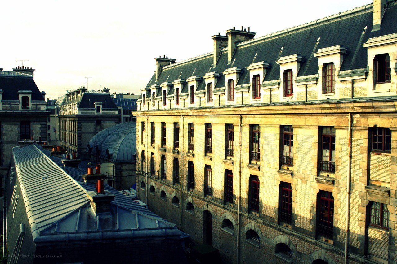 Parisian rooftops at golden hour
