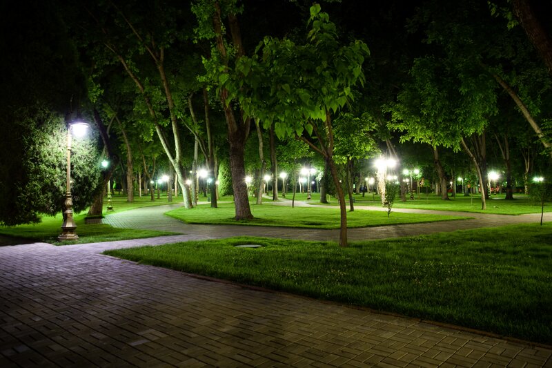 Park at Night — Green