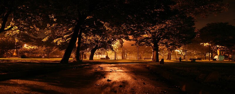 Park at Night