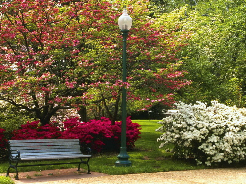 Park Bench and Lamp Post — Green