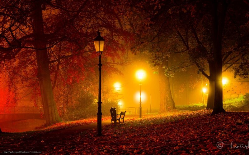 Park Bench at Night — Orange