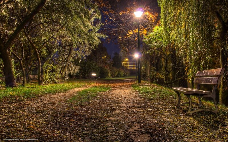 Park bench at night