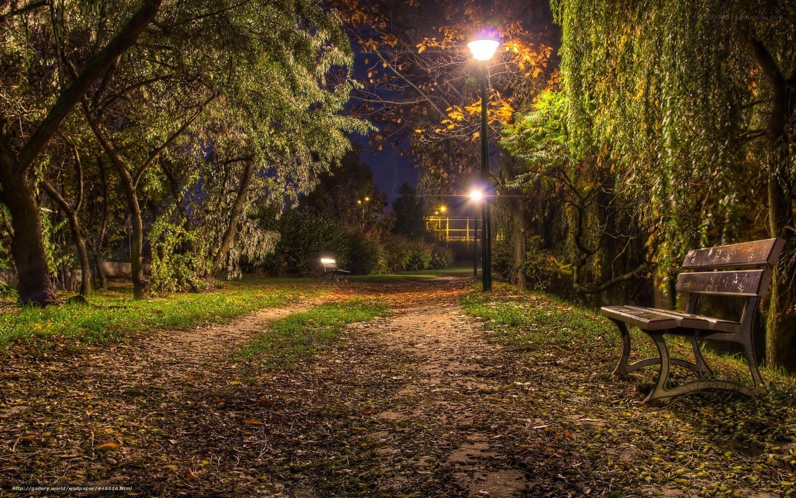 Park bench at night