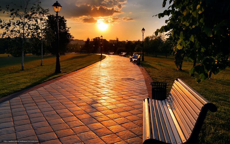 Park Bench at Sunset — Orange, Serene