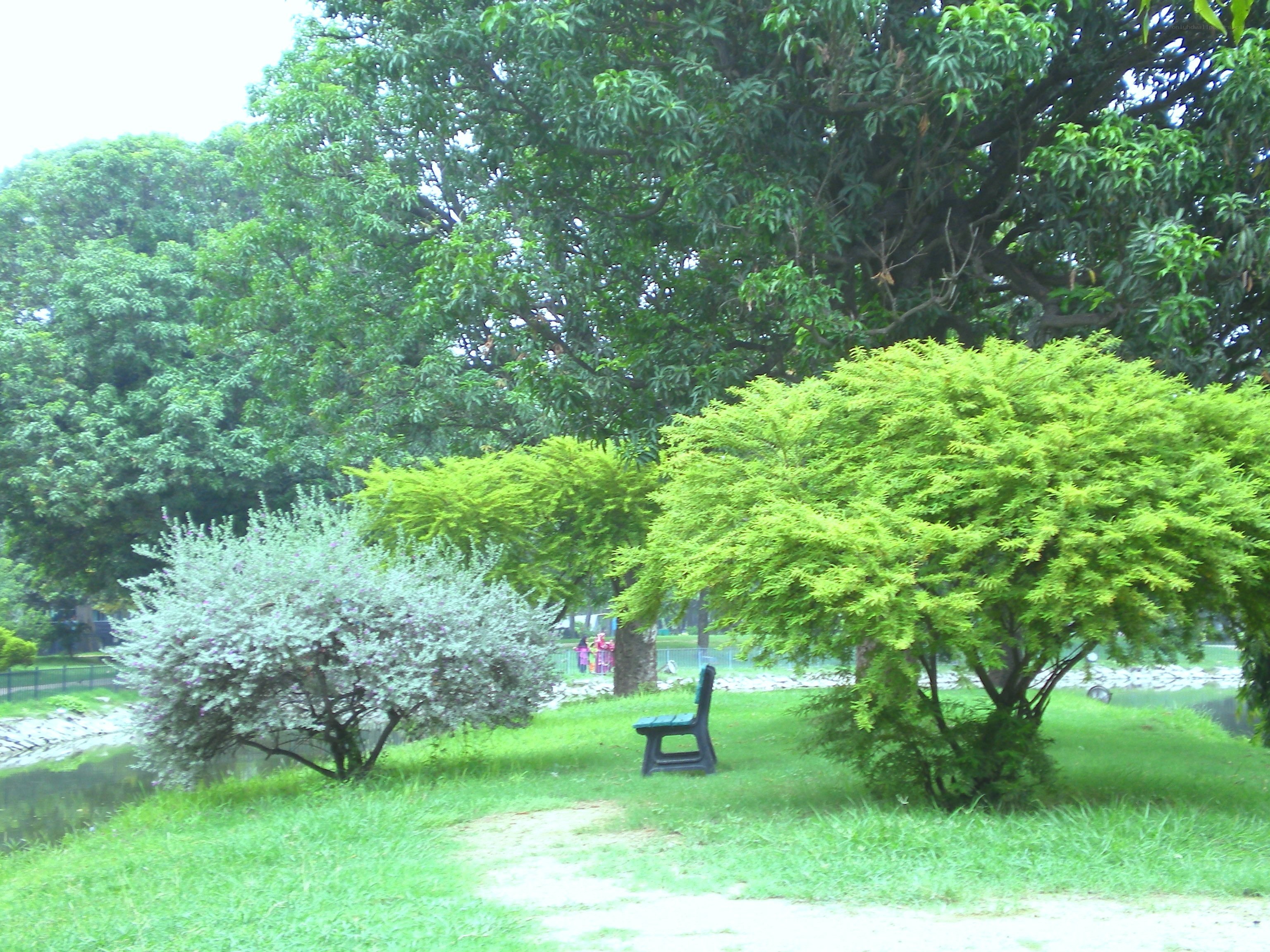 Park bench by a pond