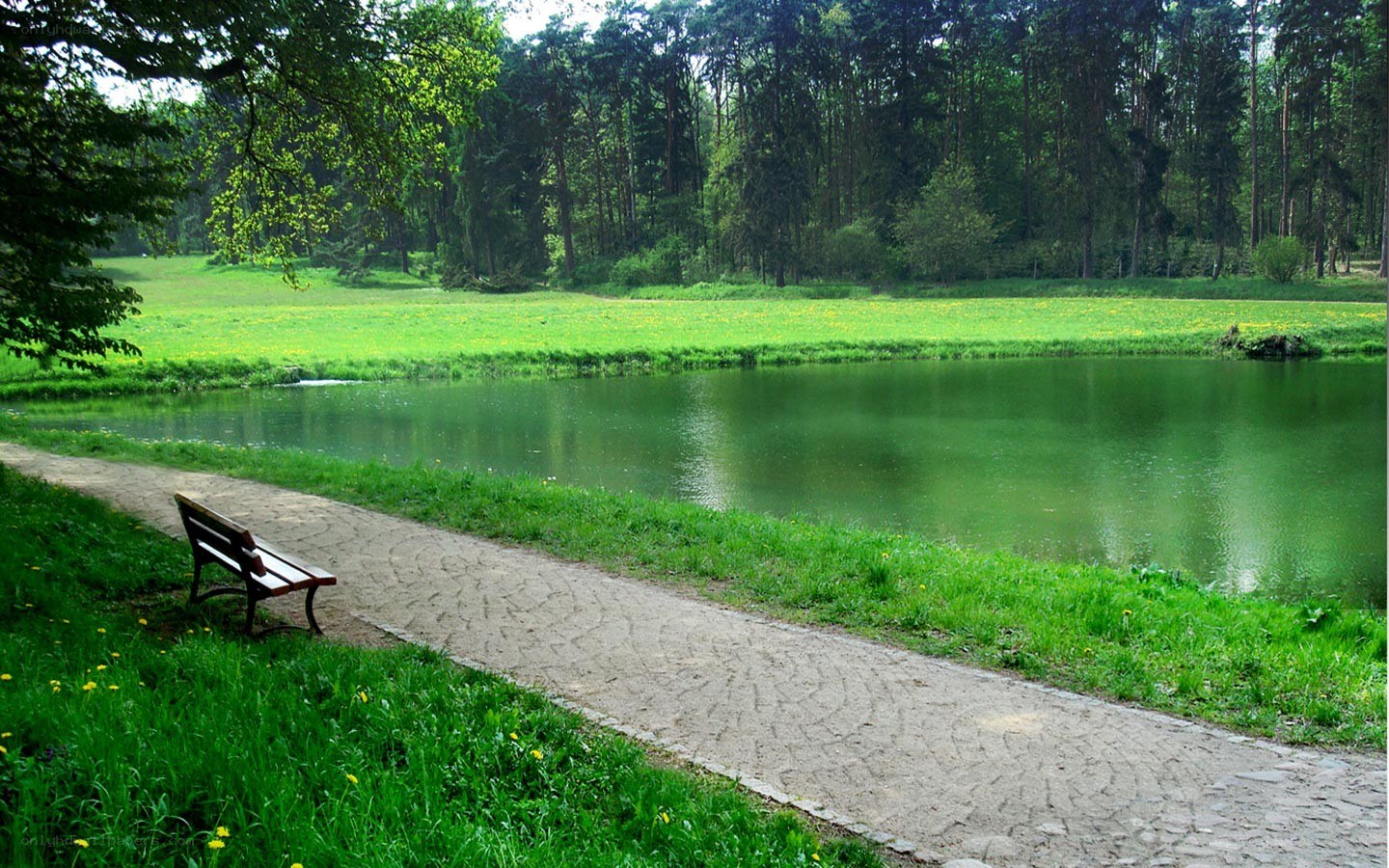 Park bench by a pond