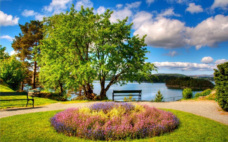 Park Bench by Lake — Green, Serene