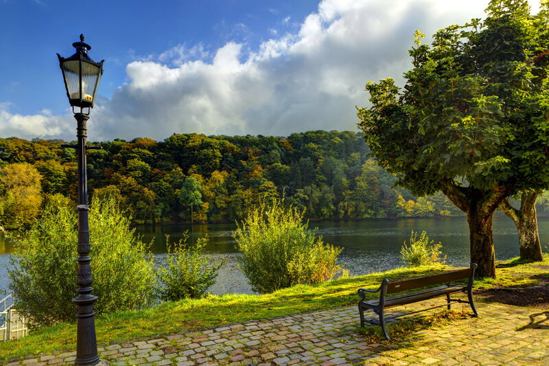 Park Bench by Lake — Green