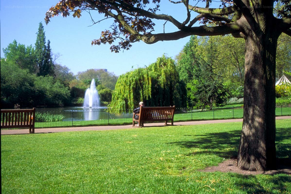 Park bench by the pond