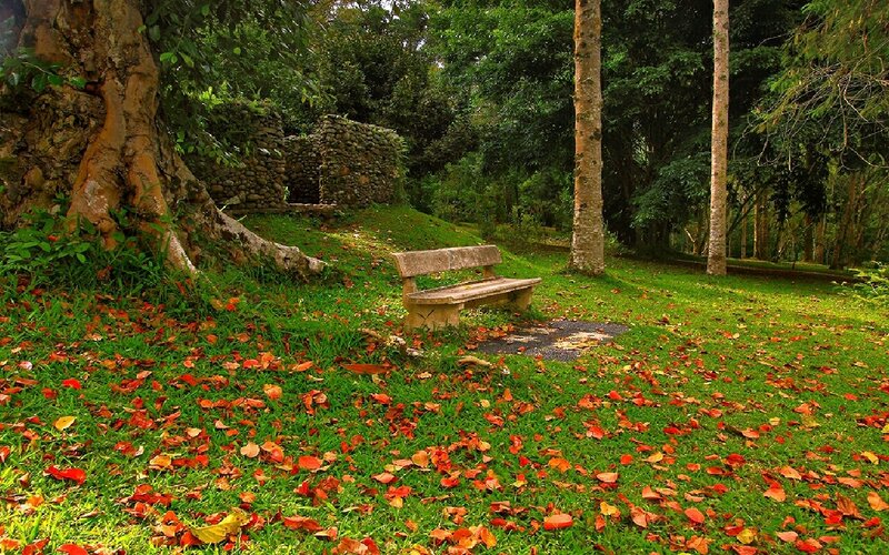 Park bench in autumn forest