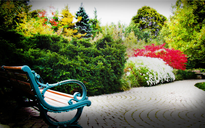 Park bench in autumn garden